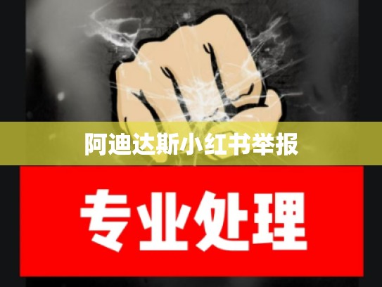 阿迪达斯小红书举报
