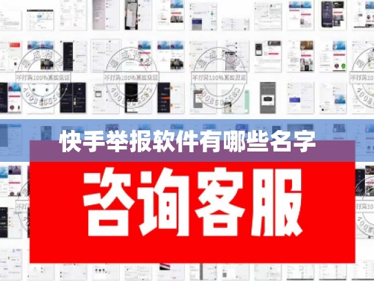 快手举报软件有哪些名字