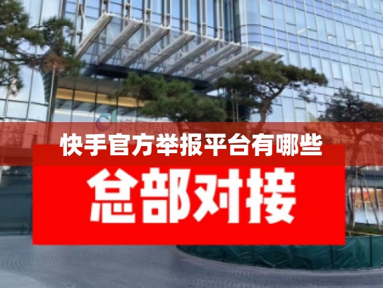 快手官方举报平台有哪些