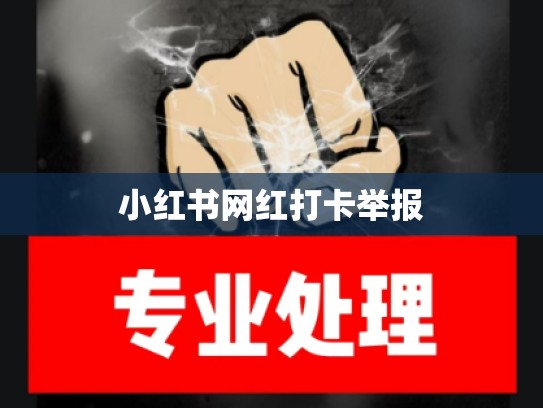 小红书网红打卡举报