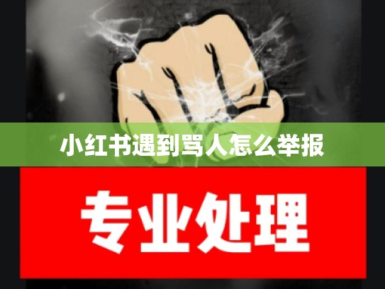 小红书遇到骂人怎么举报