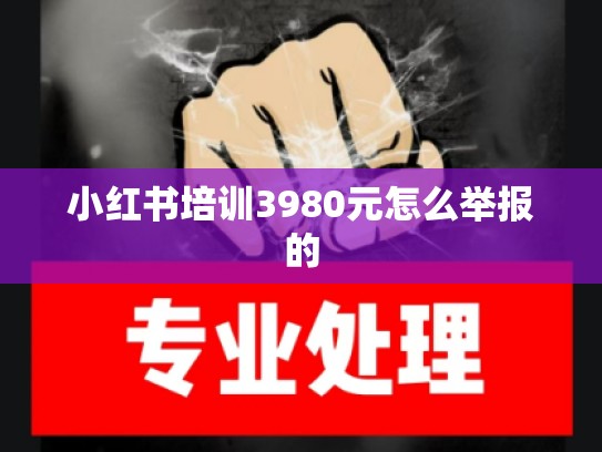 小红书培训3980元怎么举报的