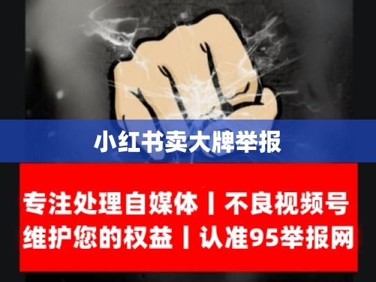 小红书卖大牌举报