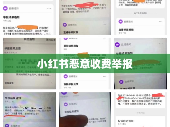 小红书恶意收费举报