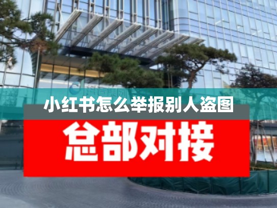 小红书怎么举报别人盗图