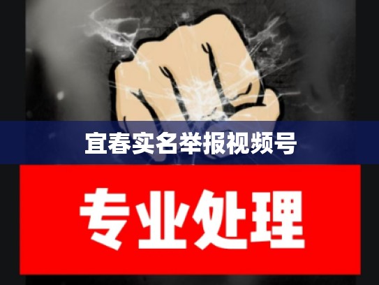 宜春实名举报视频号