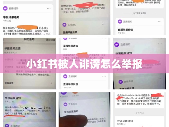 小红书被人诽谤怎么举报
