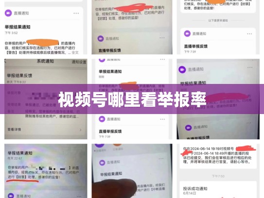 视频号哪里看举报率