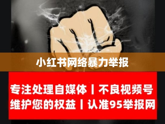 小红书网络暴力举报