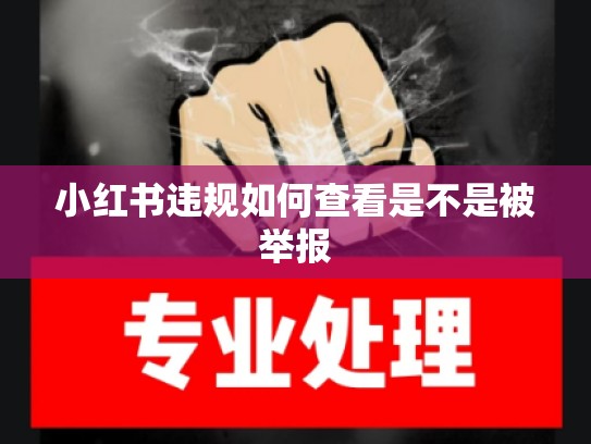 小红书违规如何查看是不是被举报