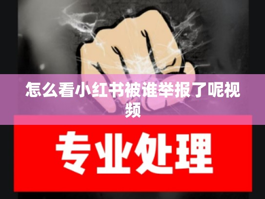 怎么看小红书被谁举报了呢视频