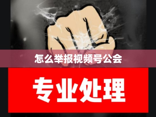 怎么举报视频号公会