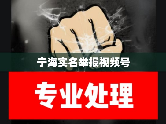 宁海实名举报视频号