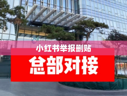 小红书举报删贴