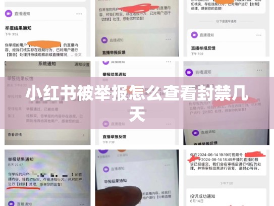 小红书被举报怎么查看封禁几天