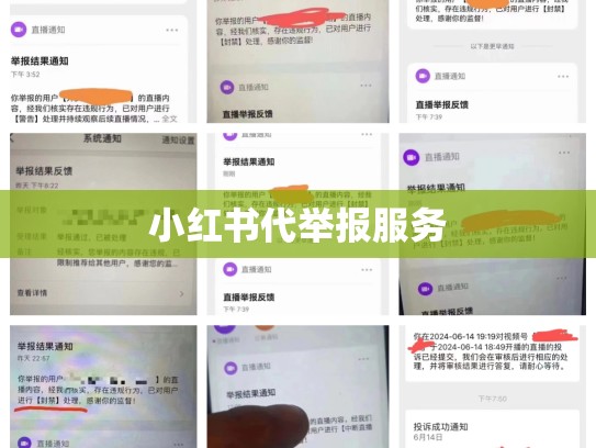 小红书代举报服务