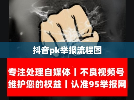 抖音pk举报流程图