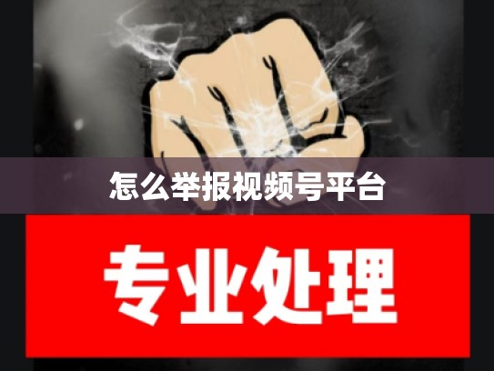 怎么举报视频号平台