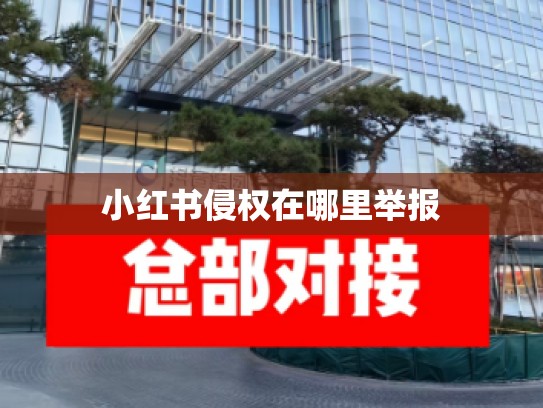 小红书侵权在哪里举报