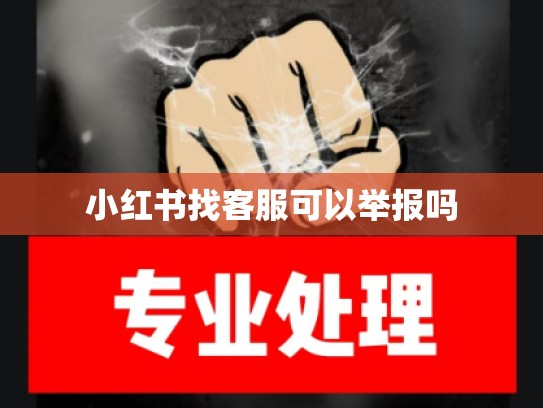 小红书找客服可以举报吗