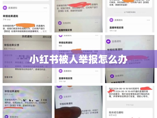 小红书被人举报怎么办