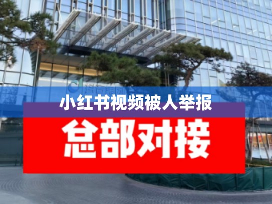 小红书视频被人举报
