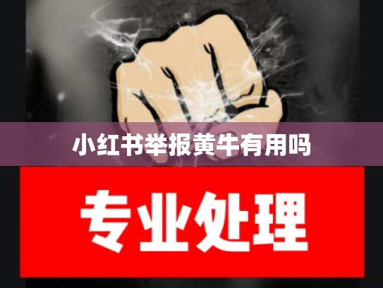 小红书举报黄牛有用吗