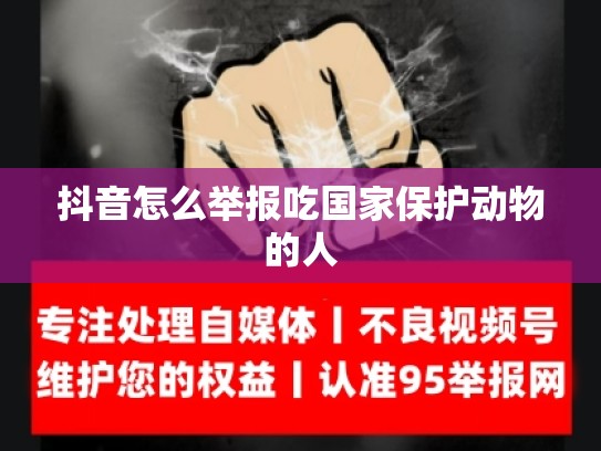 抖音怎么举报吃国家保护动物的人