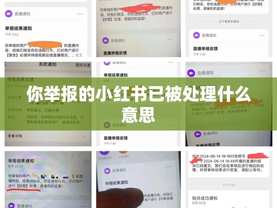 你举报的小红书已被处理什么意思