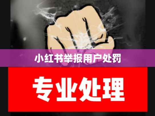 小红书举报用户处罚