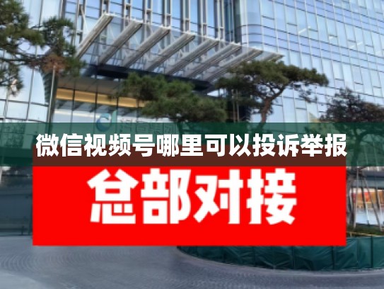 微信视频号哪里可以投诉举报