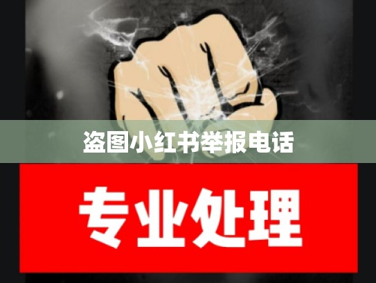 盗图小红书举报电话