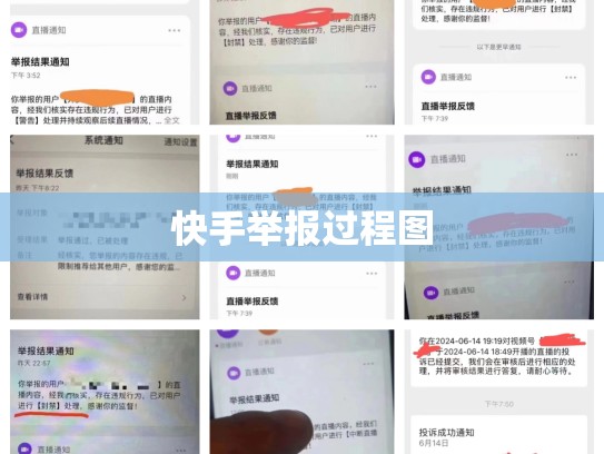 快手举报过程图