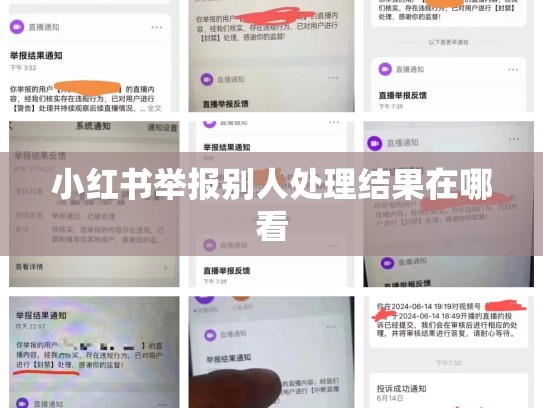 小红书举报别人处理结果在哪看