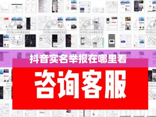 抖音实名举报在哪里看