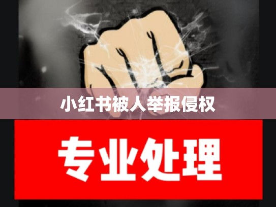 小红书被人举报侵权