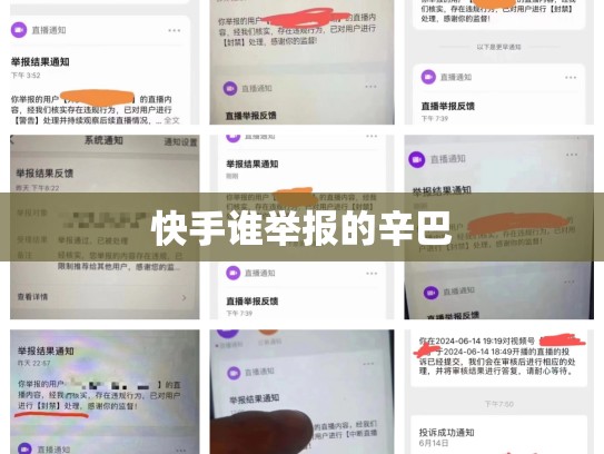 快手谁举报的辛巴
