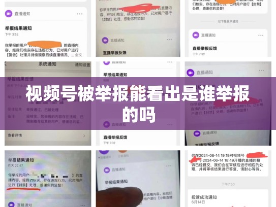 视频号被举报能看出是谁举报的吗