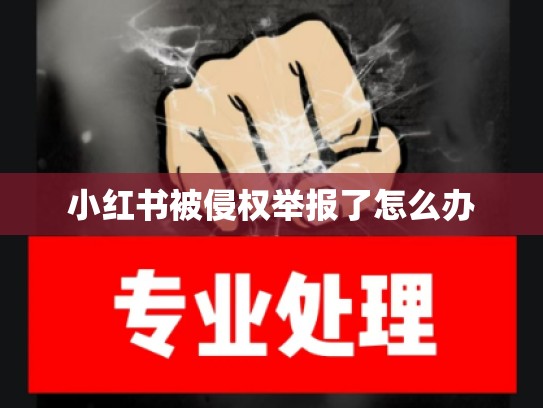 小红书被侵权举报了怎么办