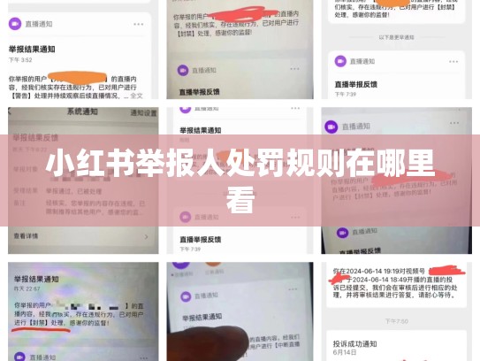 小红书举报人处罚规则在哪里看