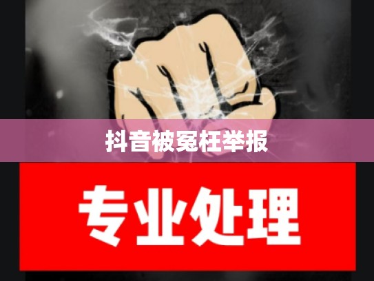 抖音被冤枉举报