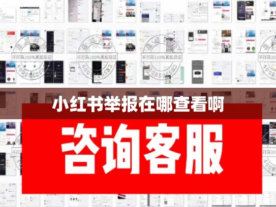 小红书举报在哪查看啊