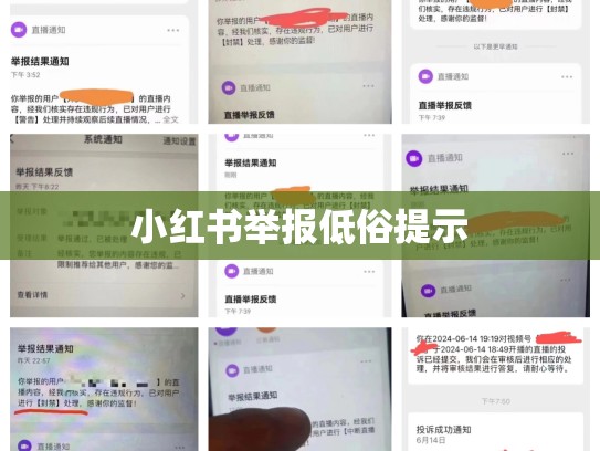 小红书举报低俗提示
