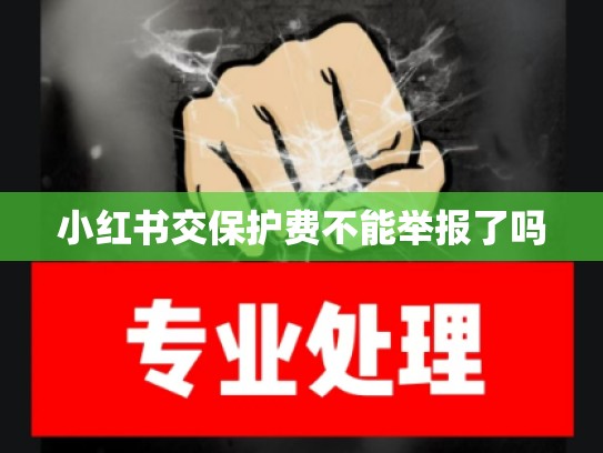 小红书交保护费不能举报了吗