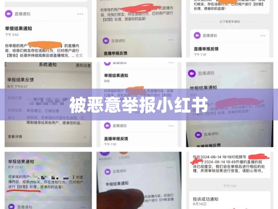 被恶意举报小红书
