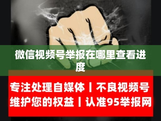 微信视频号举报在哪里查看进度