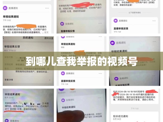 到哪儿查我举报的视频号