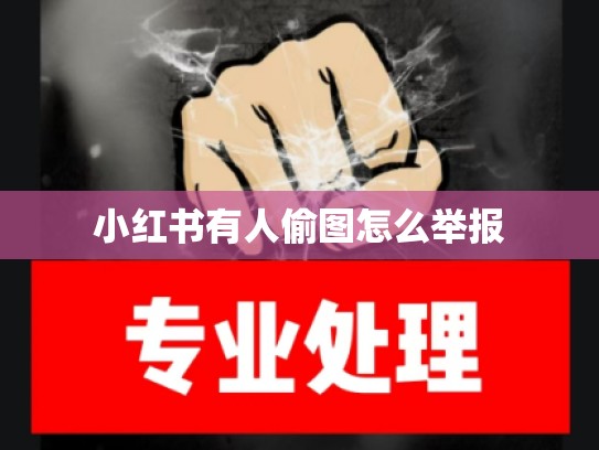 小红书有人偷图怎么举报