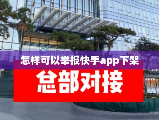 怎样可以举报快手app下架
