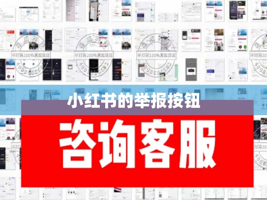 小红书的举报按钮
